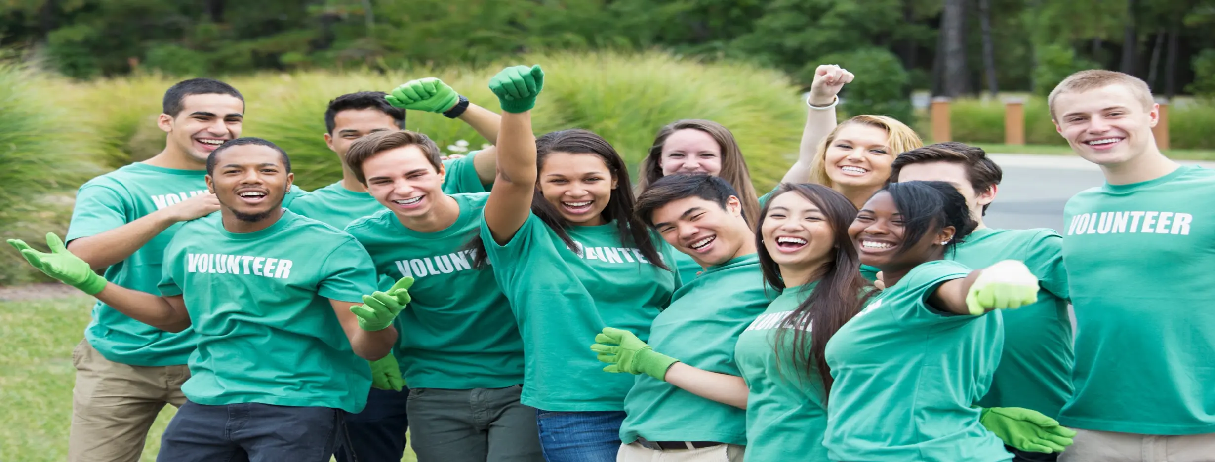 Image for Volunteer in Community Projects